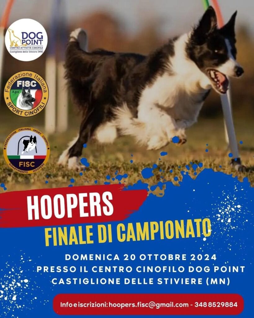 Finale del Campionato Nazionale Hoopers FISC