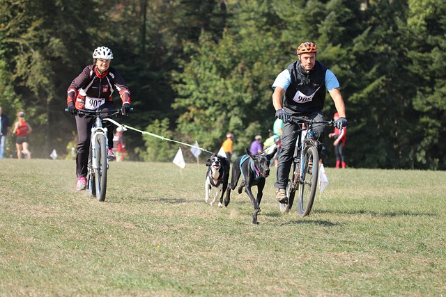 Bardonecchia ospita il Campionato Mondiale di Canicross 2024